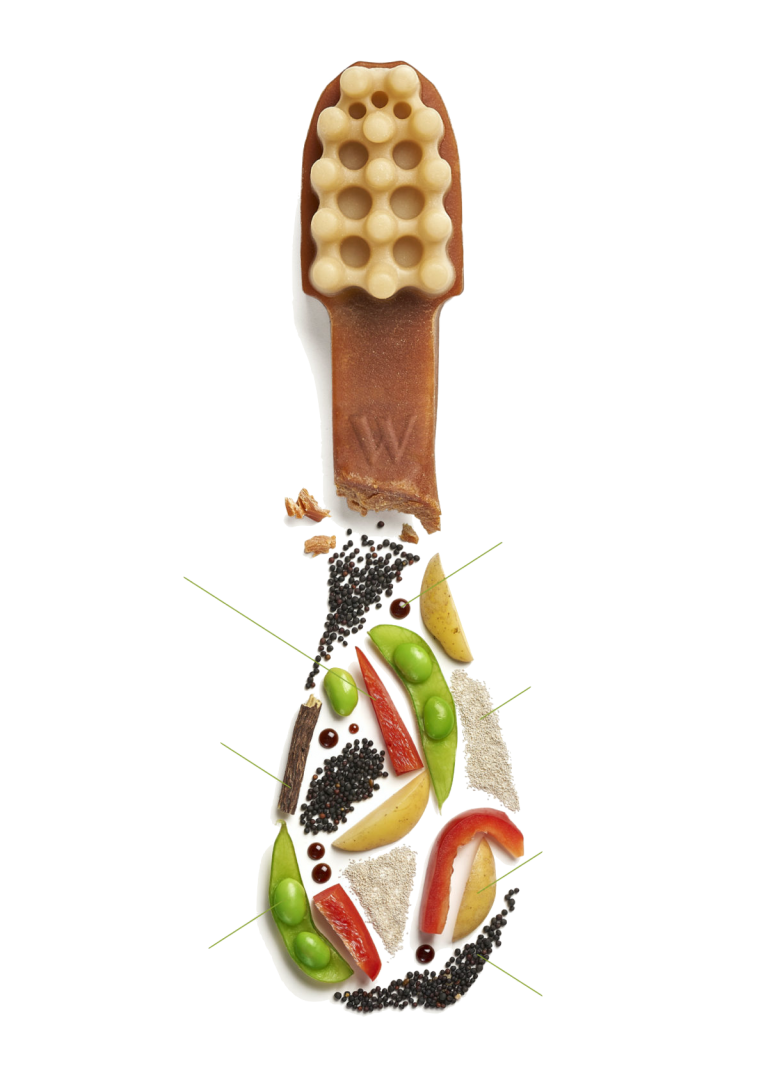 Whimzees-shoot-portrait-All-visuals-08_IT.-1200x1703